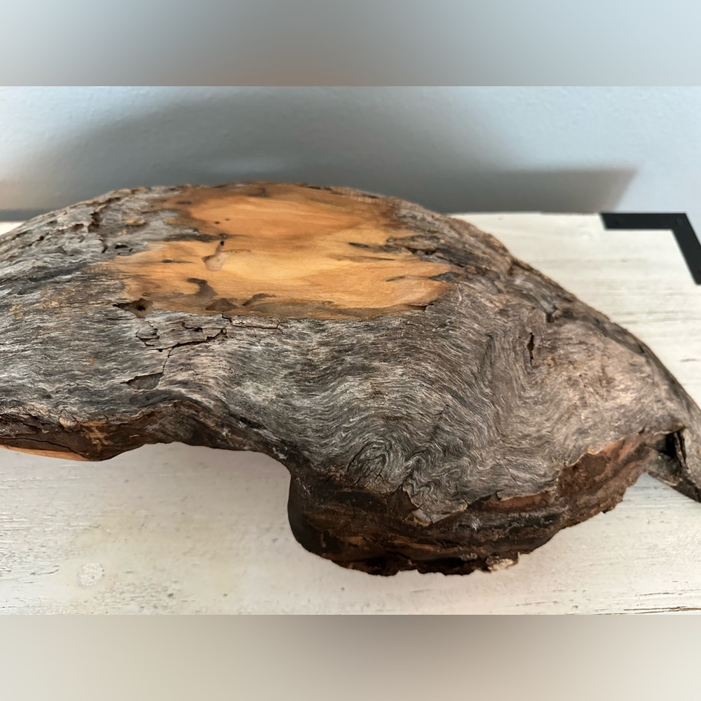Driftwood with turquoise stone. All natural. - Picture 5 of 6